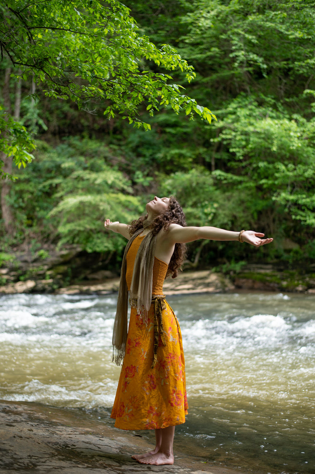 In Defense of Big Dreams (Hardcover)