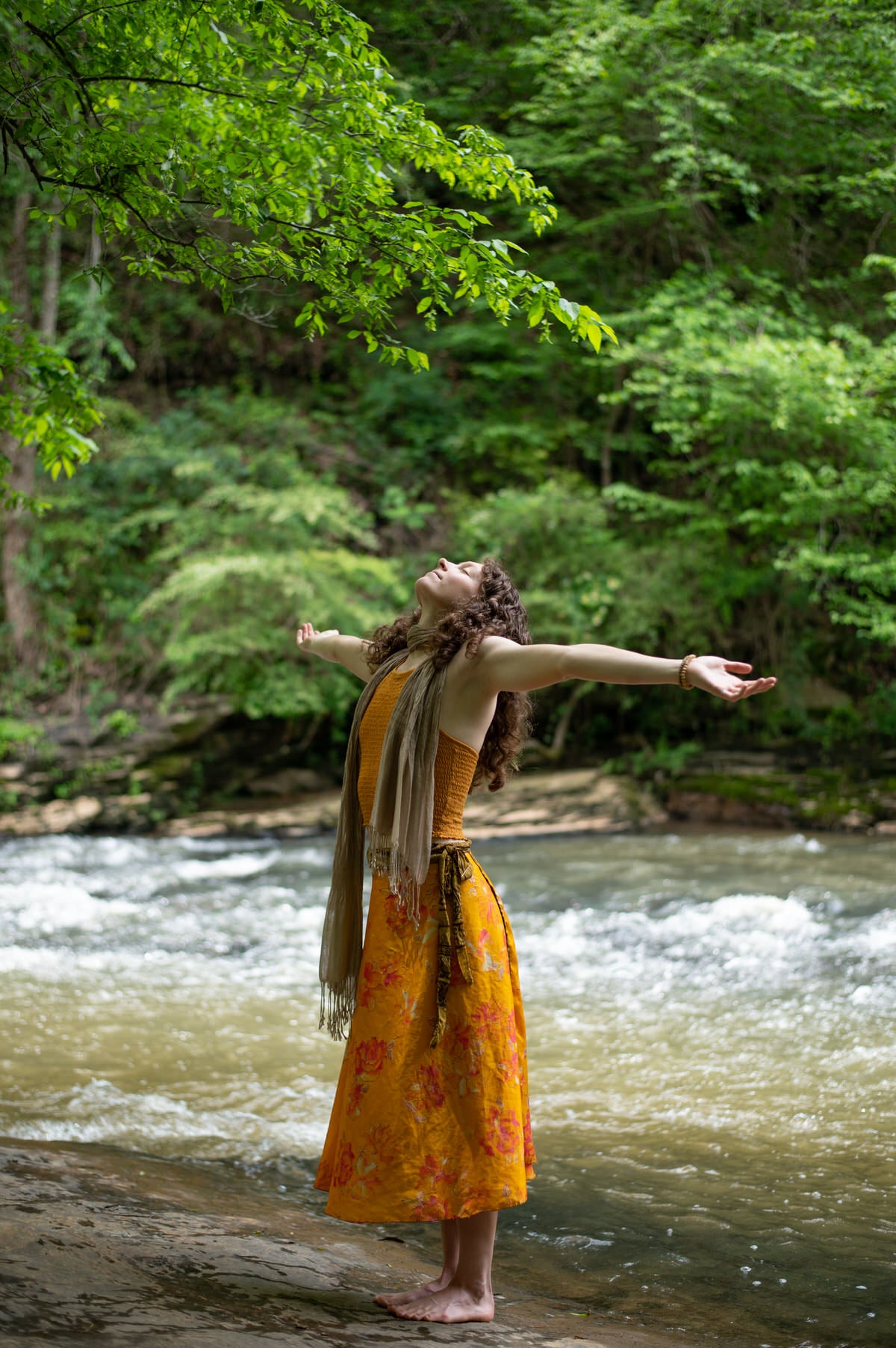 In Defense of Big Dreams (Hardcover)