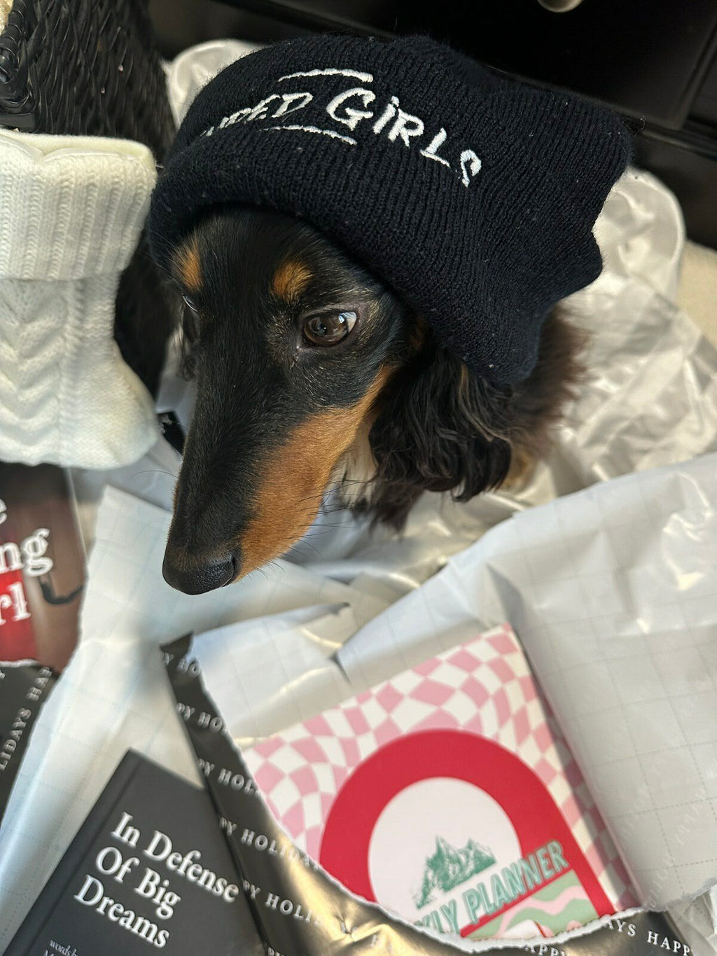 Shred Girls Cuffed Beanie