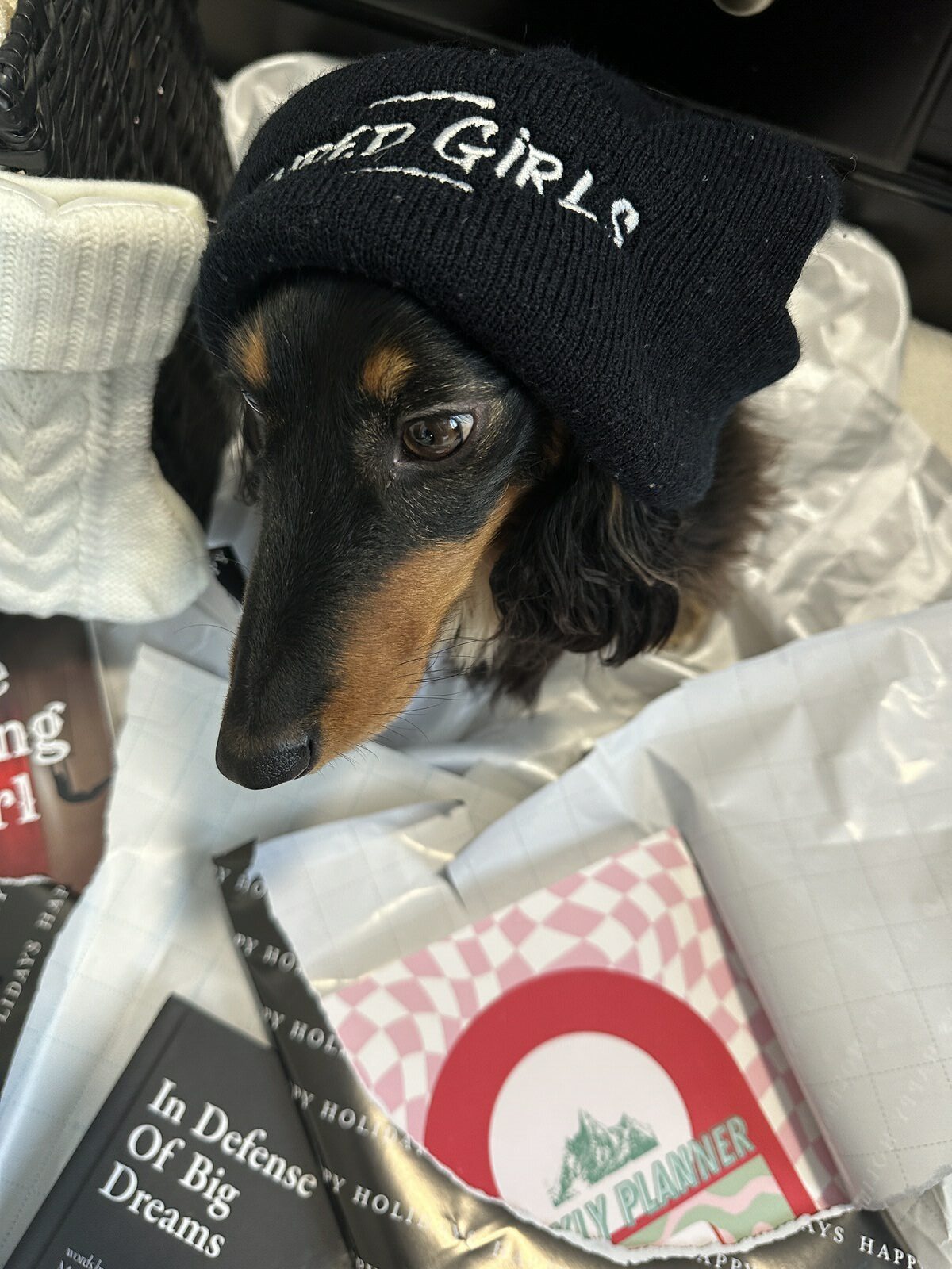 Shred Girls Cuffed Beanie