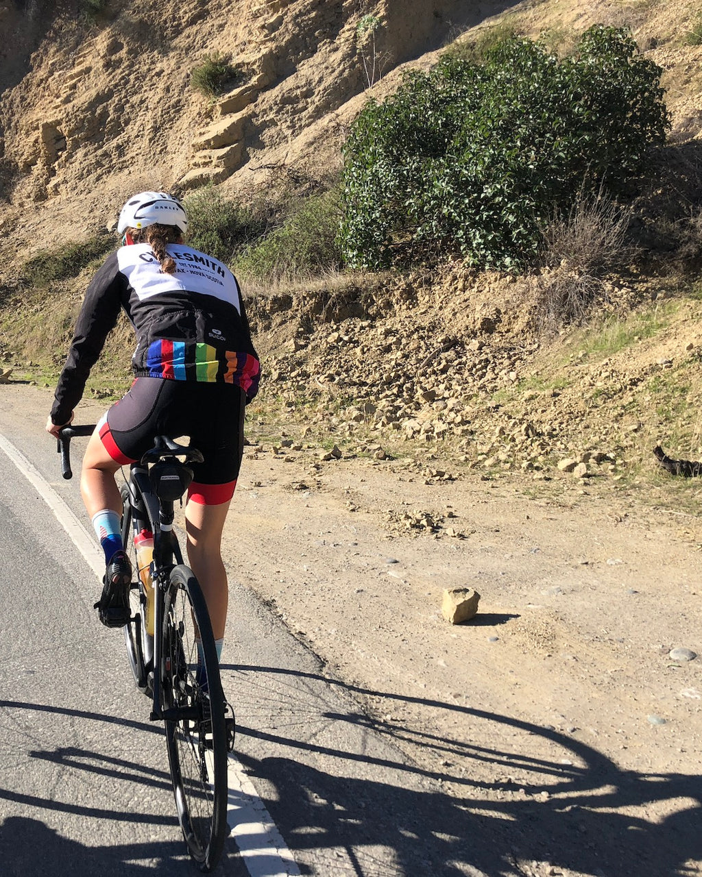 In Defense of Big Dreams (Hardcover)