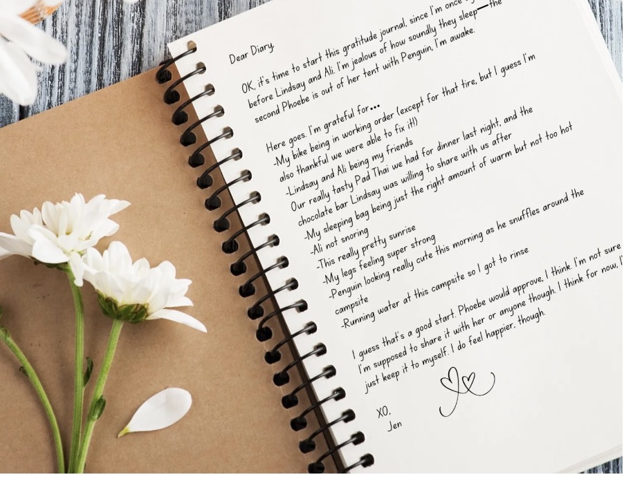 Sneak Peek: Jen’s Gratitude Journal from Shred Girls Book 3